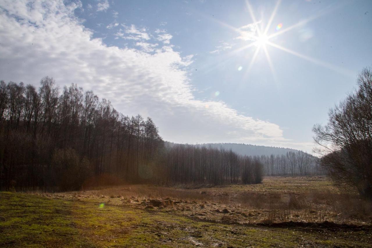 Domki Przystanek Drzewina Luaran gambar